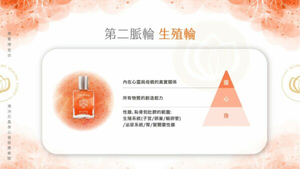 脈輪全解析:生殖輪