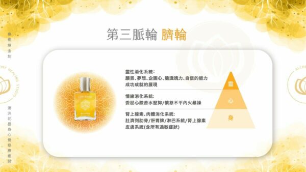 脈輪全解析:太陽神經叢