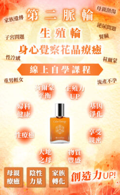 【第二脈輪 生殖輪】身心覺察花晶療癒線上課程