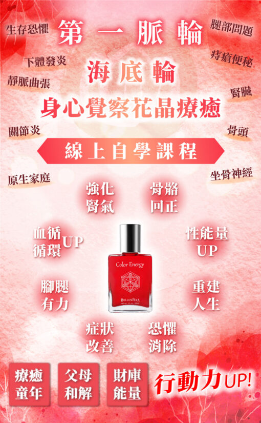 第一脈輪海底輪線上課2025