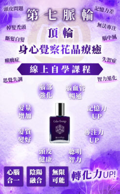 第七脈輪頂輪線上課2025